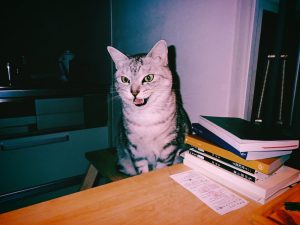 ニュースを見る、やはりうまく走れない、20250120