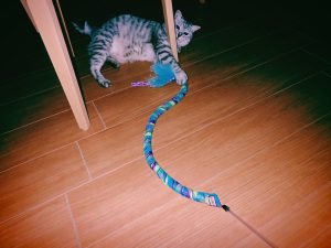 冬休み終わり、暑苦しい今年のテーマ、20250102