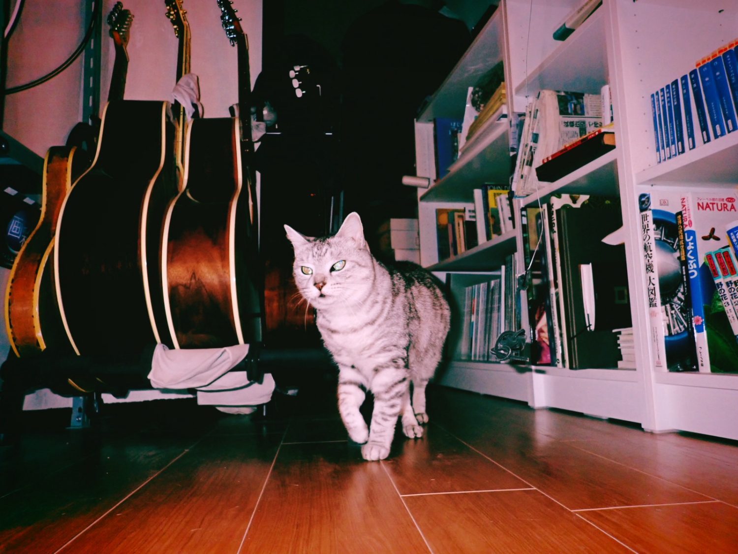 空気階段の踊り場が上質のドキュメンタリーだった、20250304