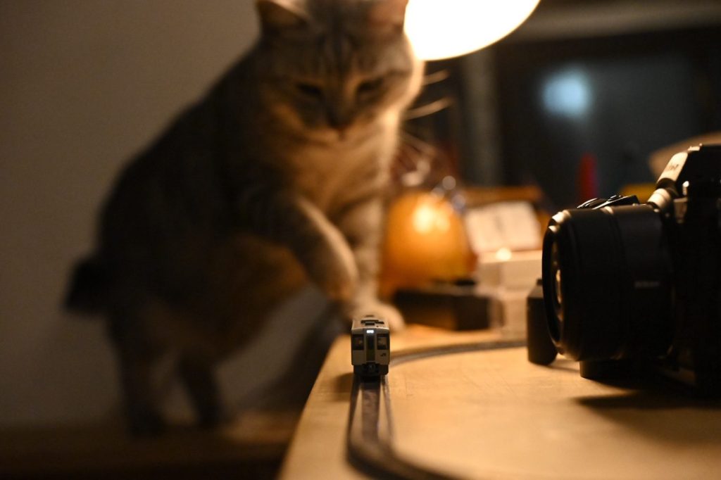 鉄道模型と猫、20250227