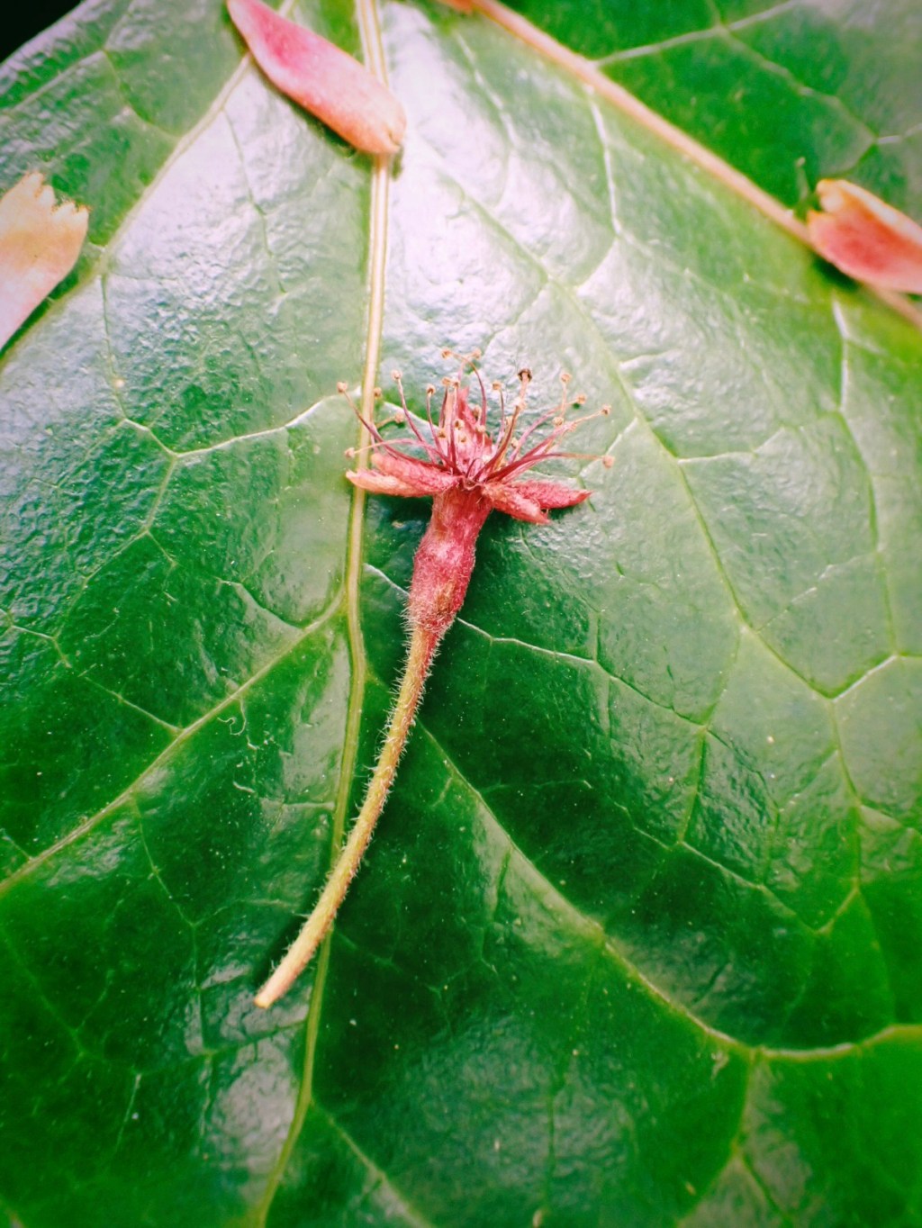 渋谷にて、西武でアシモフ、タワレコでクラプトン、20250412