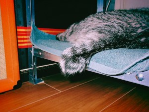 雨の日曜日を満喫する、20250413