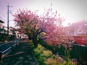 春の日永の句、Haiku of a Long Spring&nbsp;Day,20250417