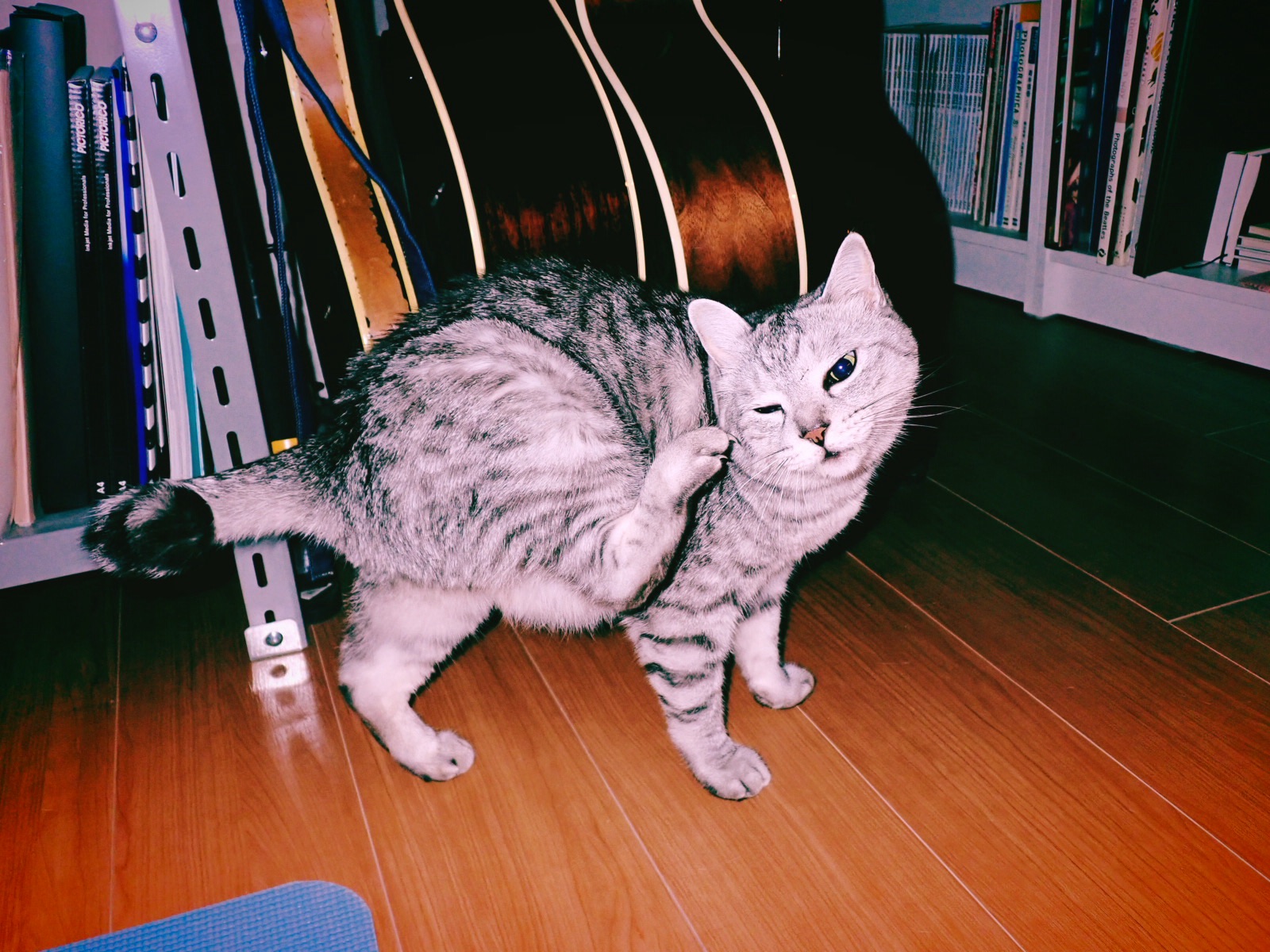 かすみがうらマラソン2025、Kasumigaura Marathon 2025, 20250420