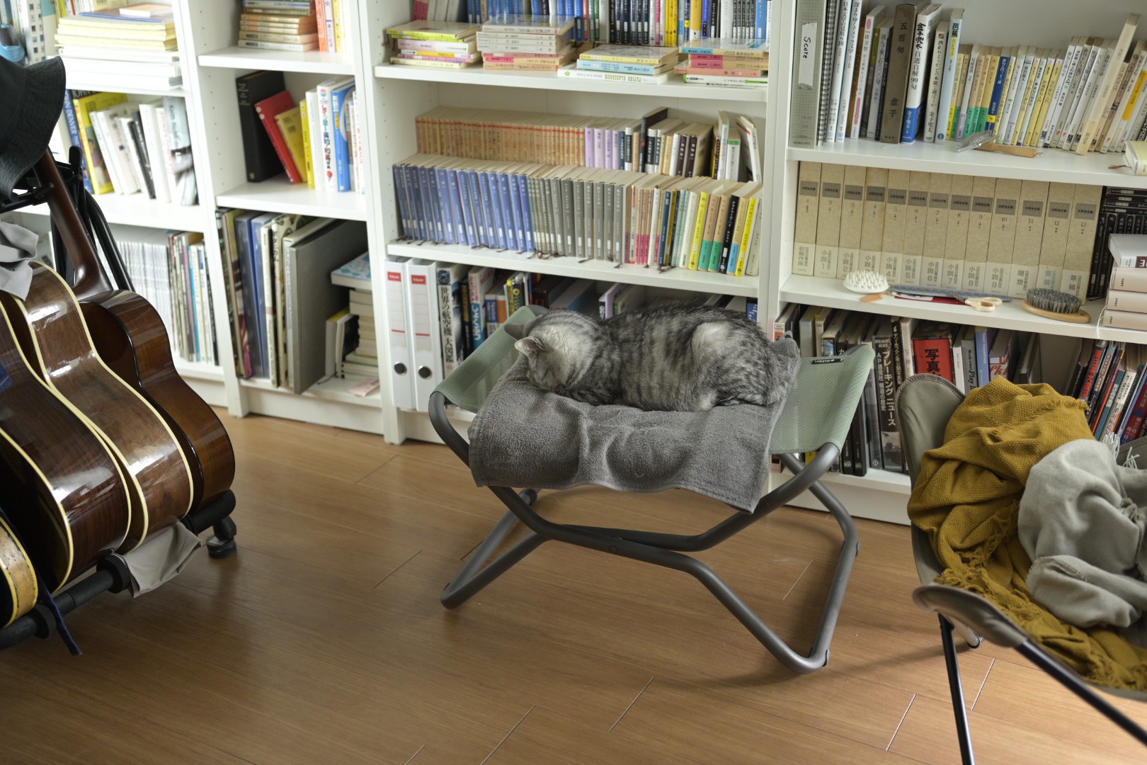 瑣事にかかる、ふたたび走り出す、筋肉、藤、Small Matters, Running Again, Muscles, Wisteria, 20250428