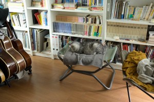 瑣事にかかる、ふたたび走り出す、筋肉、藤、Small Matters, Running Again, Muscles, Wisteria,&nbsp;20250428