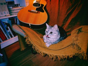 自宅、At Home, 20250501