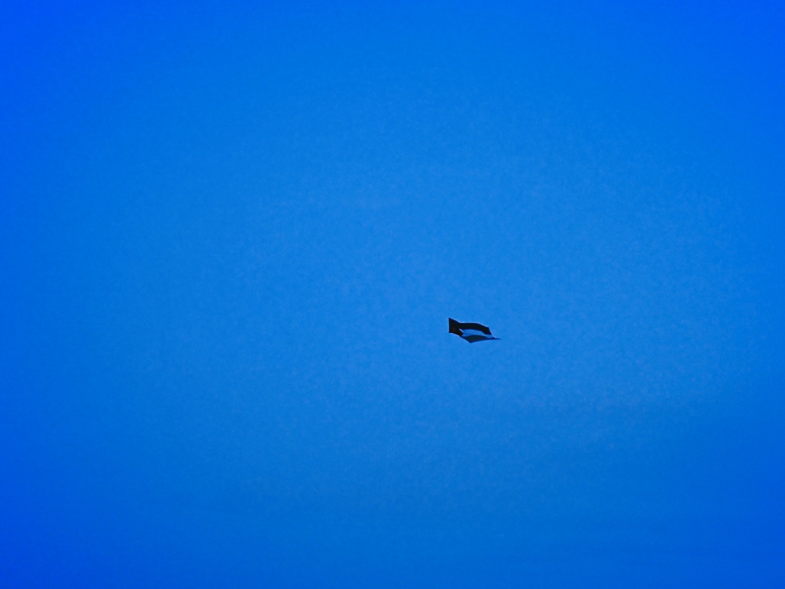 調布の図書館、Library in Chofu, 20250503