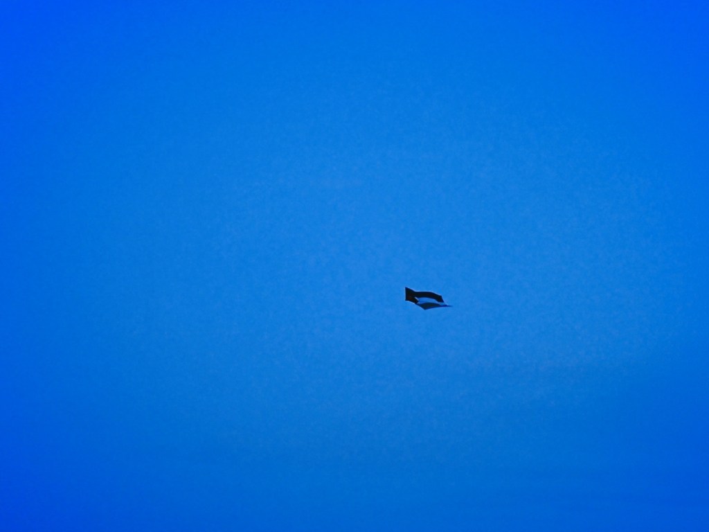 調布の図書館、Library in Chofu,&nbsp;20250503