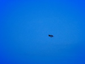 調布の図書館、Library in Chofu,&nbsp;20250503