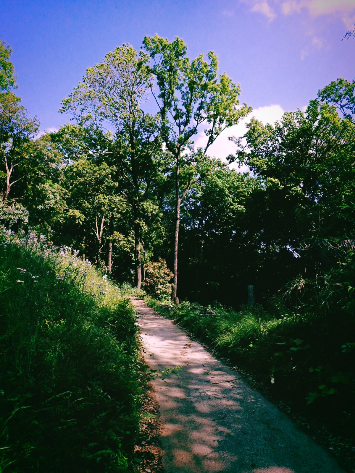 細江英公『死の灰』、Deadly Ashes , Eikoh Hosoe, 20250508