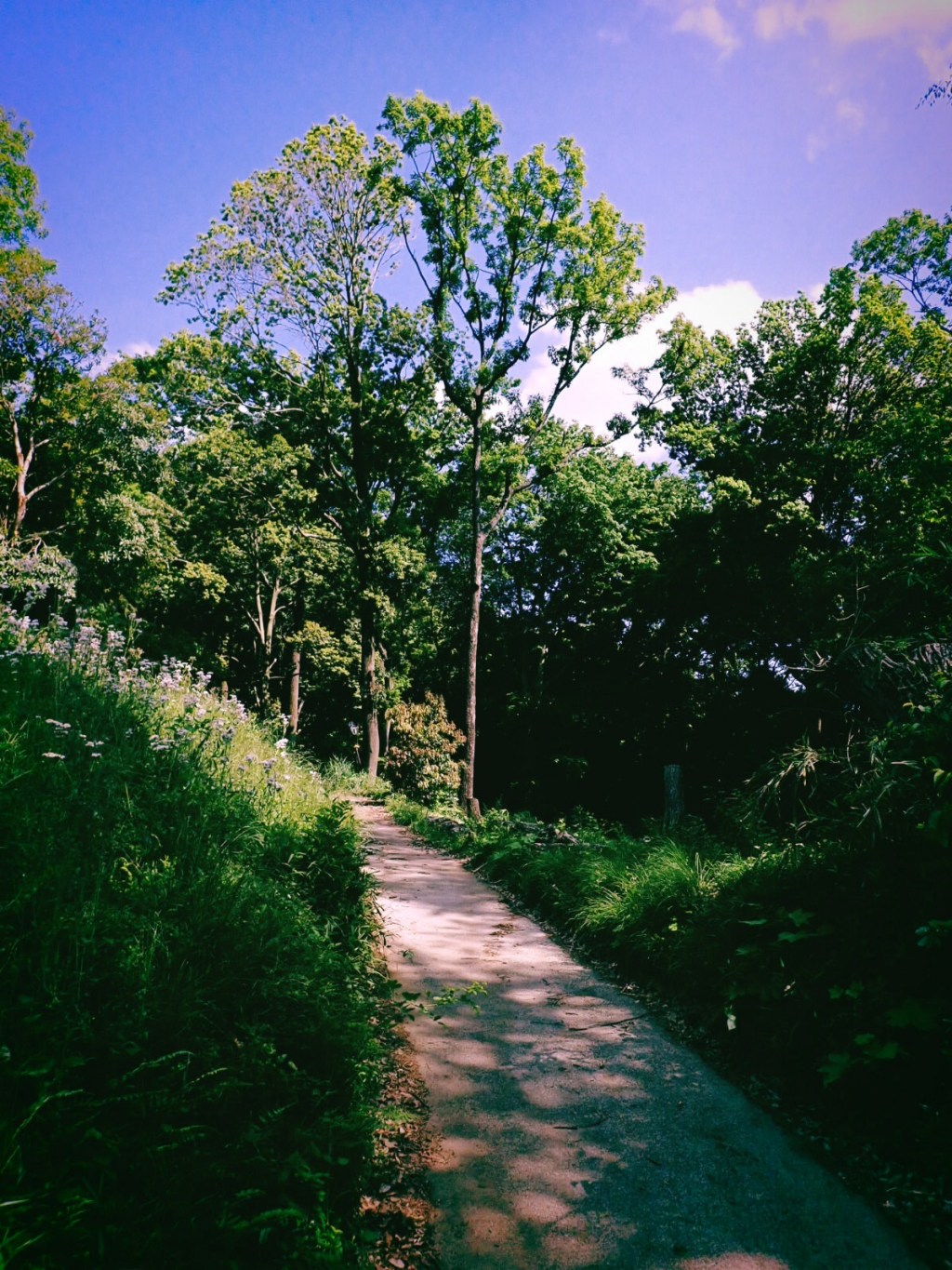 細江英公『死の灰』、Deadly Ashes , Eikoh Hosoe,&nbsp;20250508