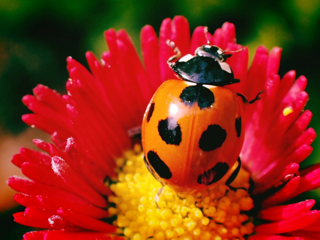 里山、公園、図書館、Satoyama, Park, Library,&nbsp;20250511