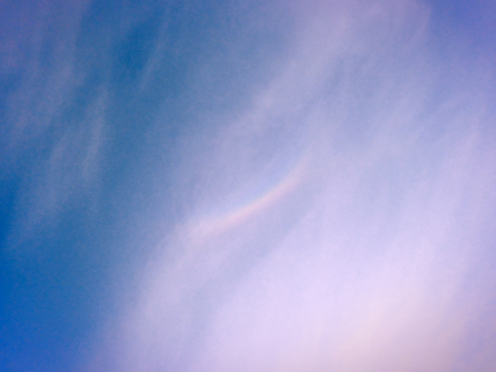 エゴノキの花、巻雲の虹、Rainbow, A Good Omen, 20250514