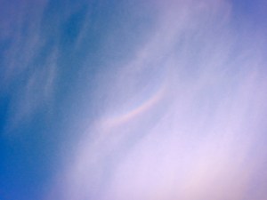 エゴノキの花、巻雲の虹、Rainbow, A Good Omen,&nbsp;20250514