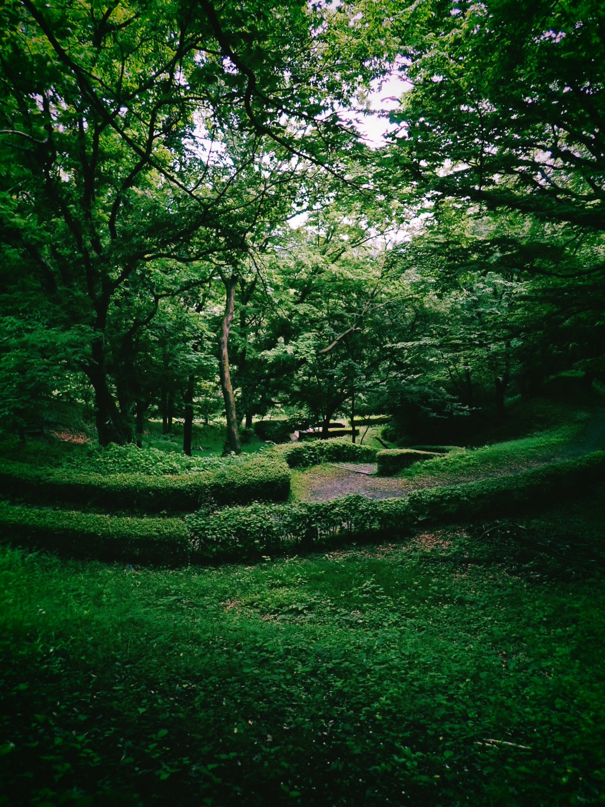 To Be a Proper Runner Again, 早起きの月曜日、真面目に走る、20250519