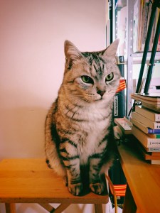 A Night at Oh!baby, 友人に会うのは久しぶりという気がする、20250528