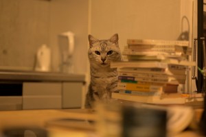 ピアストリのオーバーテイク、Piastri’s Overtake, 20250505