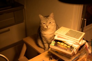 悶える、Thinking About Living Alone,&nbsp;20250509