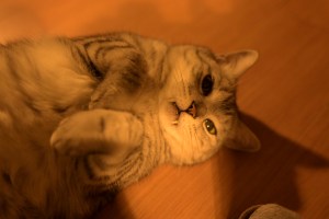 金曜の夜、自宅、Just After 1 a.m.,&nbsp;20250516