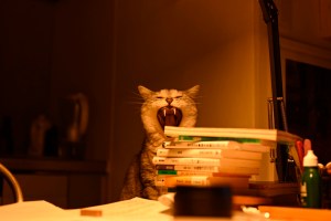 自宅、At home, 20250524