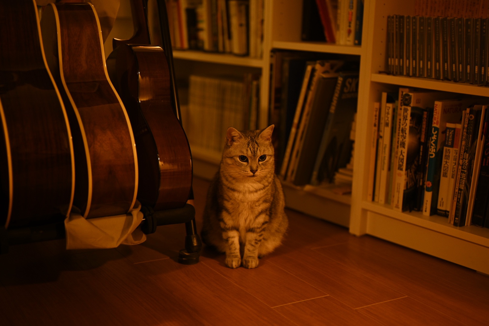 モナコの決勝レースを観るということ、What It Means to Watch the Monaco Grand Prix, 20250525