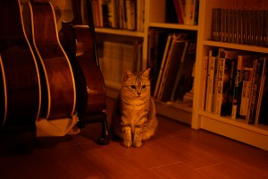 モナコの決勝レースを観るということ、What It Means to Watch the Monaco Grand Prix,&nbsp;20250525