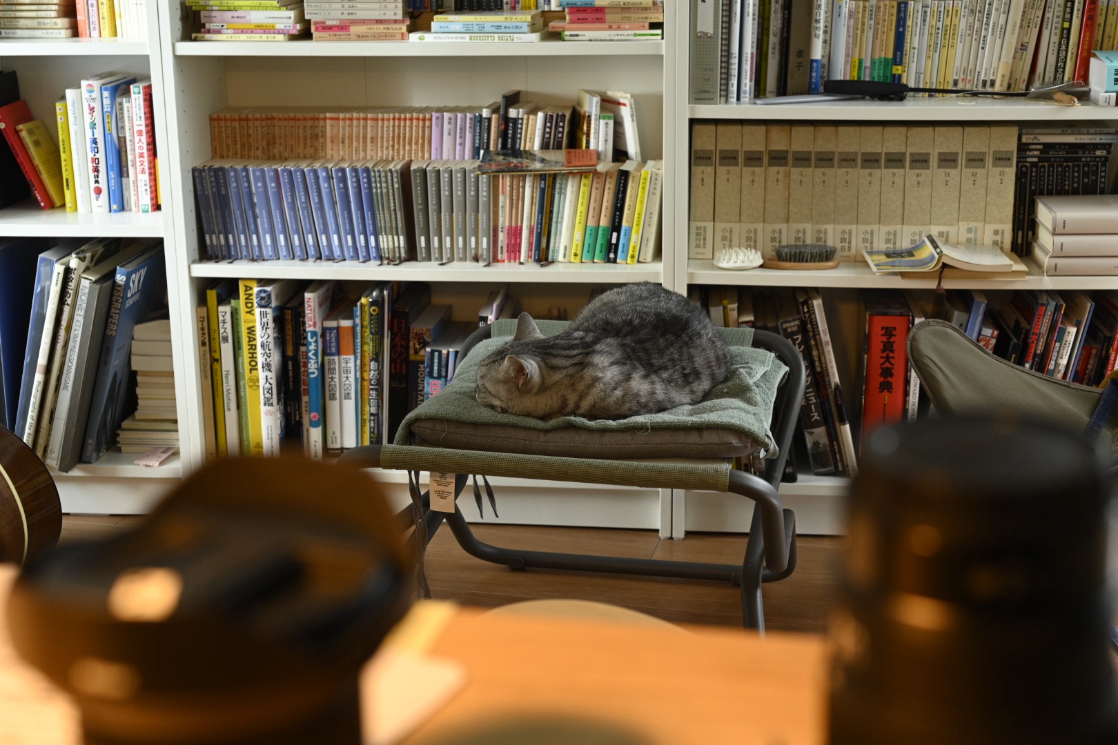 自宅、At home, 20250530