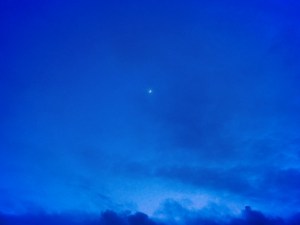 近所、In the Neighborhood,&nbsp;20250531