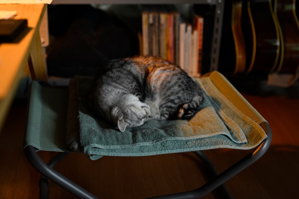 ジャガイモを焼く、Roasting Potatoes, 20250603