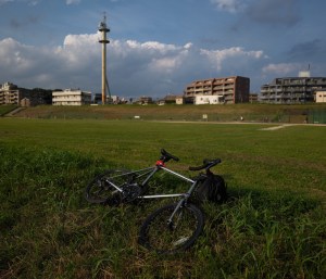 多摩川、20250627