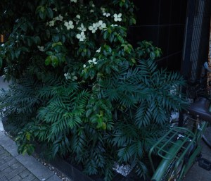 自宅、新宿、20250628