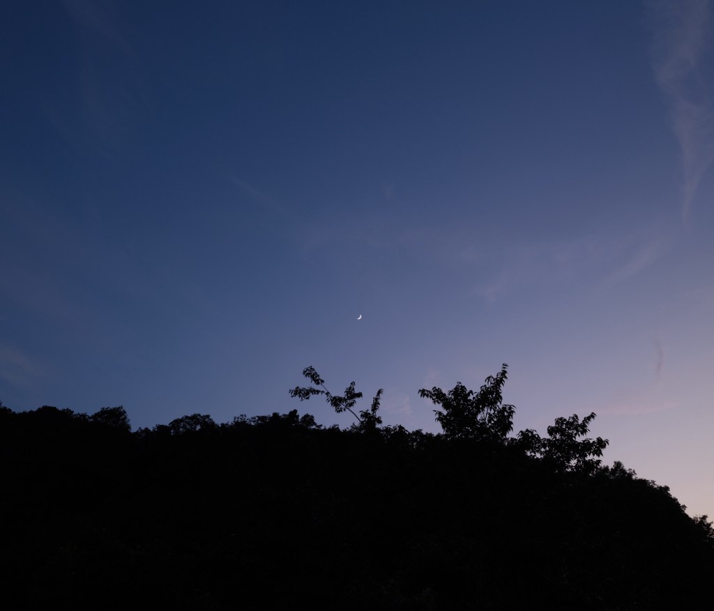 里山、図書館、20250629