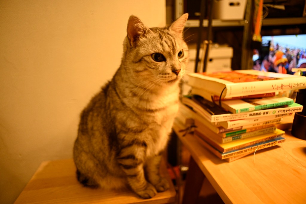 ま、ナーバスと言えばそうだが、20250705