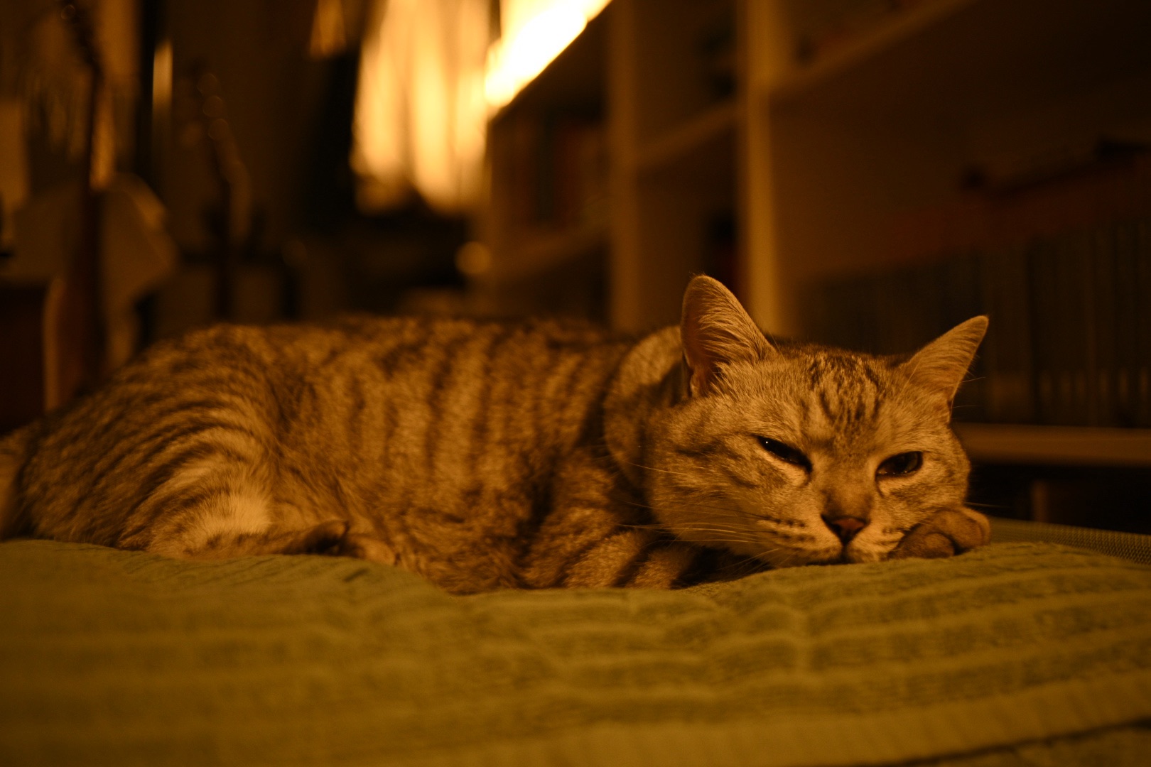 サブ3のために走る、Evening Run, 20250710