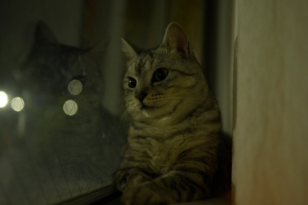 5000m, 23:51, 20250719