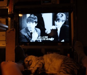 Brian Wilson Songwriter 1962-1969,&nbsp;20250711