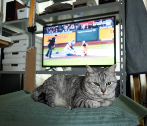 ビーチ・ボーイズを聴く、20250712