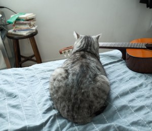 代休、山口洋のブログを見つける、20250714