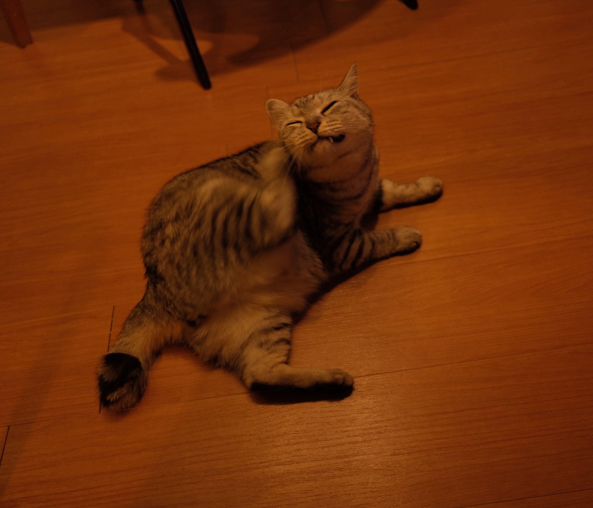 3時間生きる、20250716