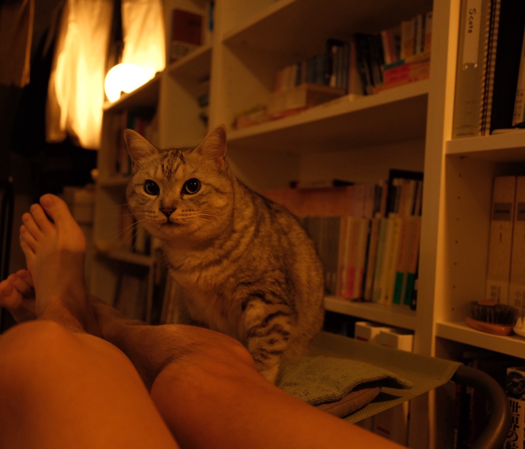 スワローズが守備で勝つ、20250717