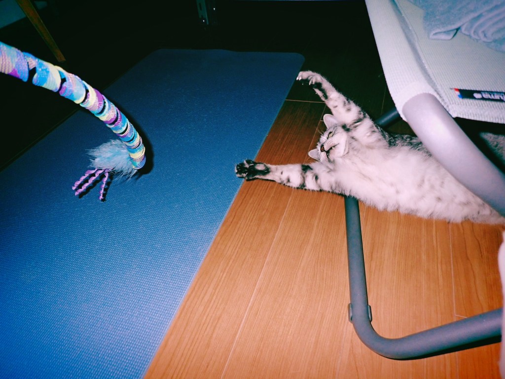 石川さん、ノーガード戦法のすすめ、20250807