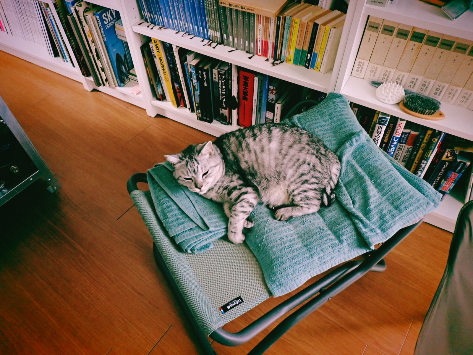 運転に明け暮れる、20250825