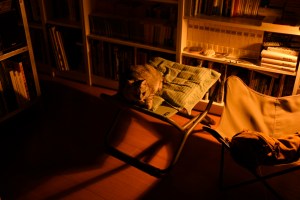 夜を目黒で過ごす、20250801