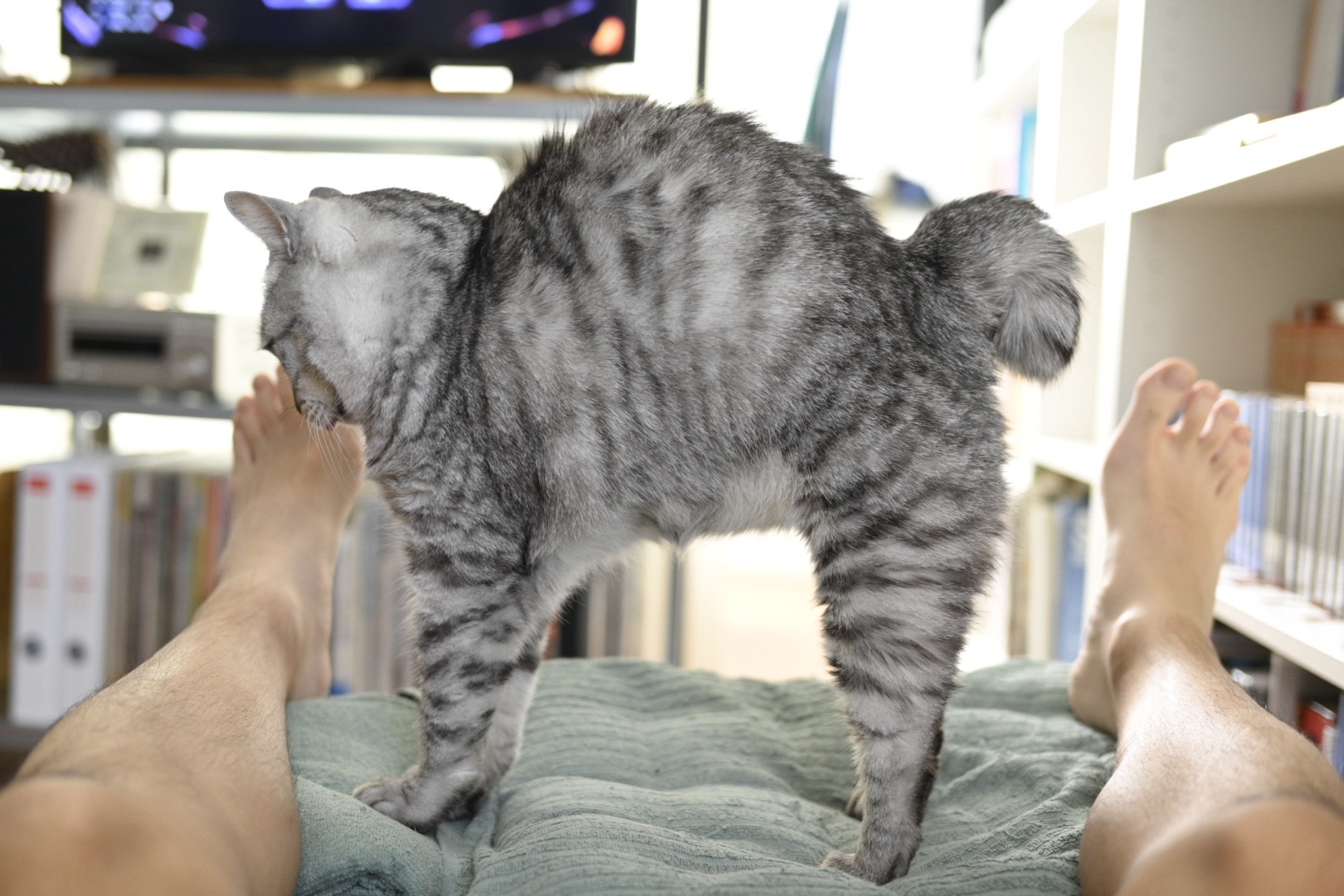 カレー、月、20250802