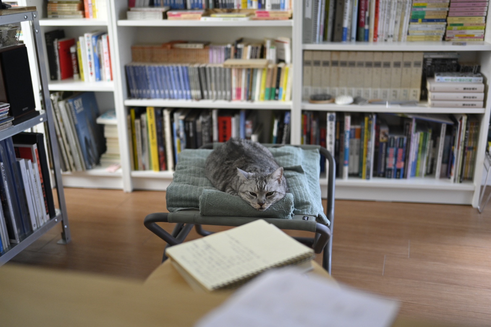 奥川、マクラーレン、20250803