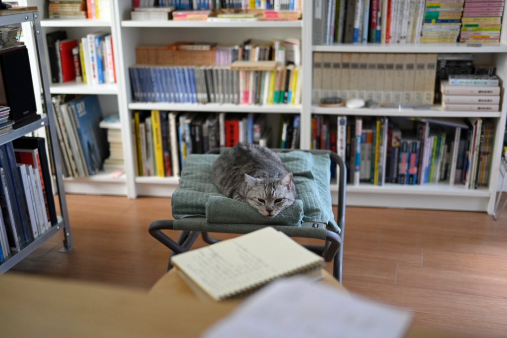 奥川、マクラーレン、20250803