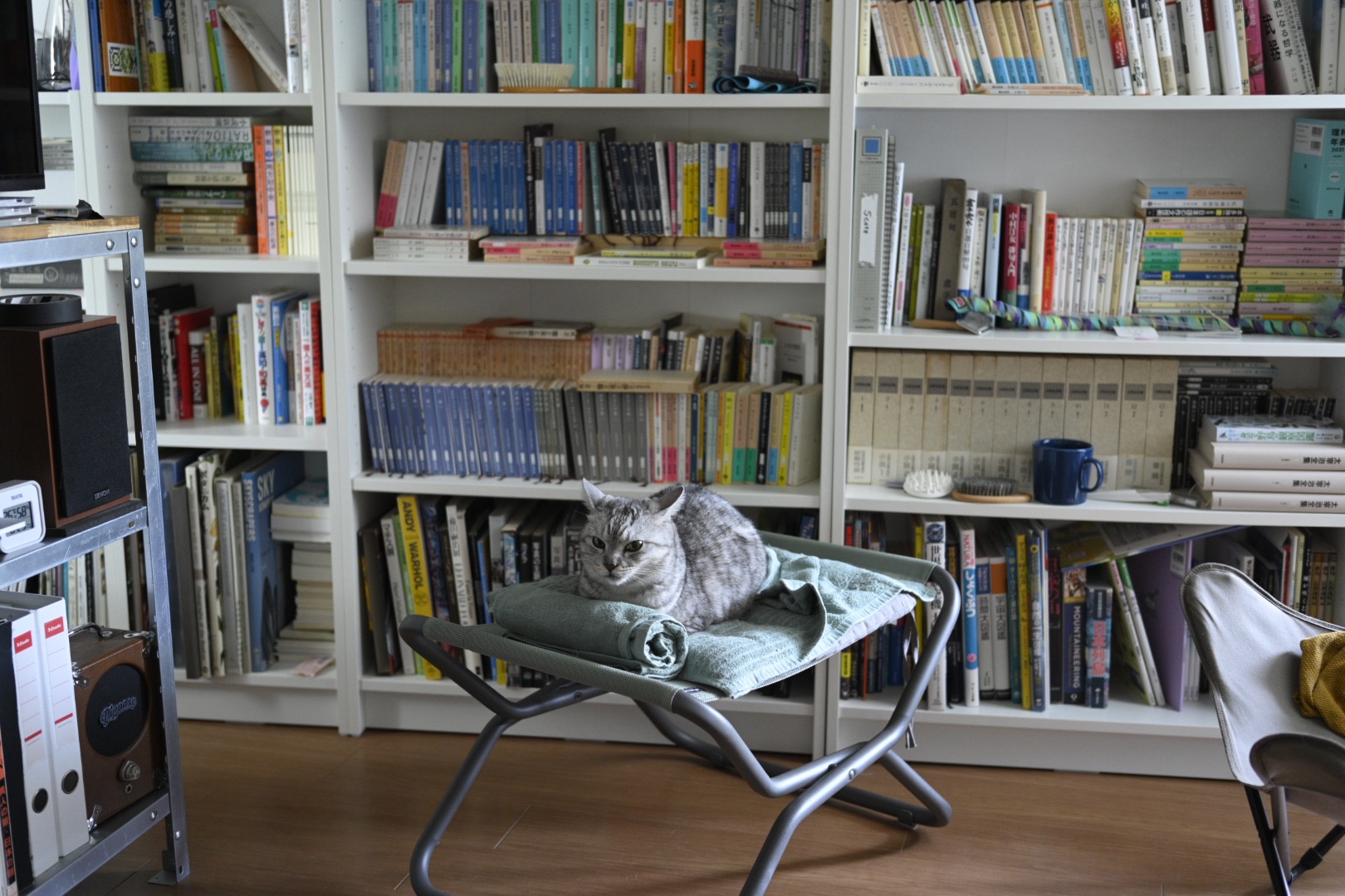 牛のように過ごす、20250826