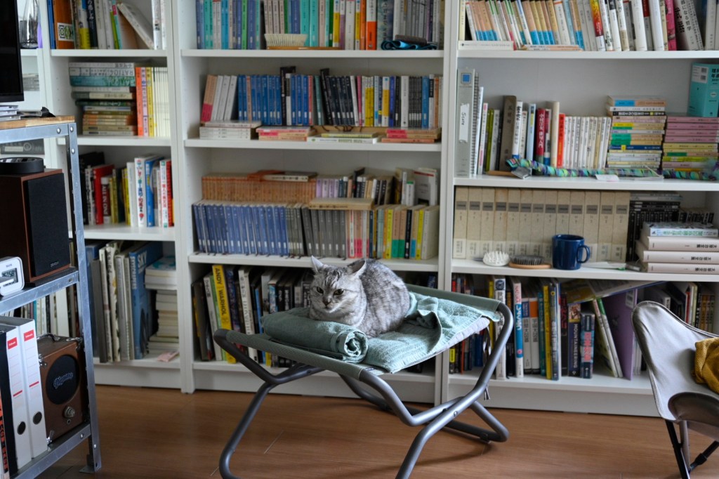 牛のように過ごす、20250826