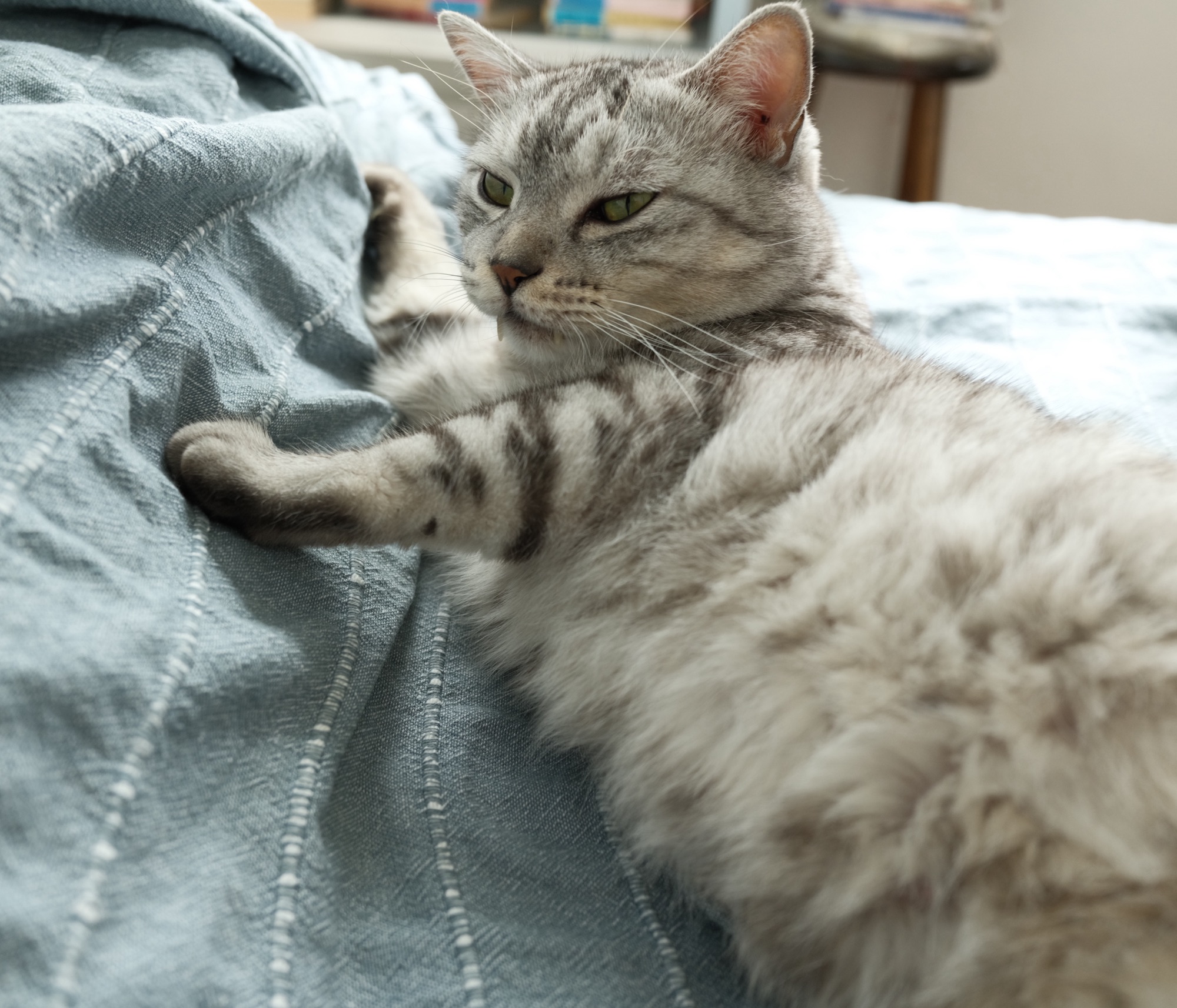 七月果つ、20250731